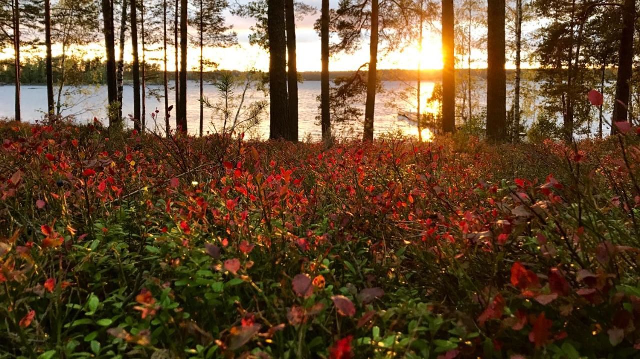 Шале Koskenselän Lomakylä Пуумала-47